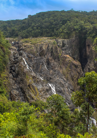 Kuranda Rain Forest