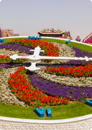 Miracle Garden