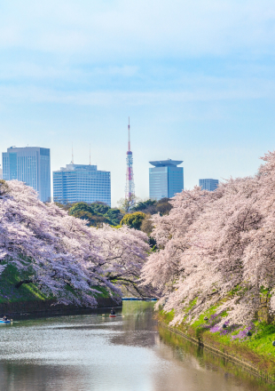 Chidorigafuchi