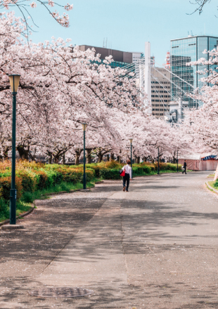 Ueno Park