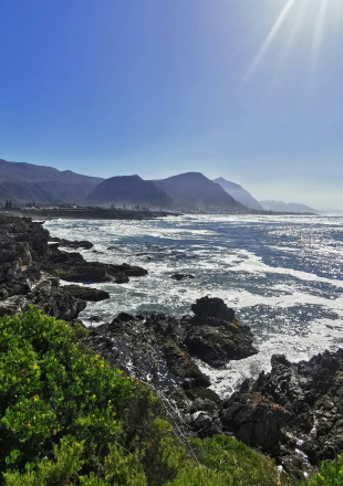 Hermanus