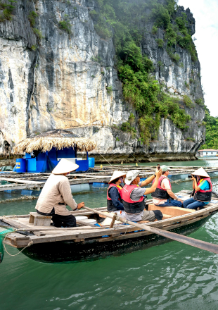 Islands and Caves